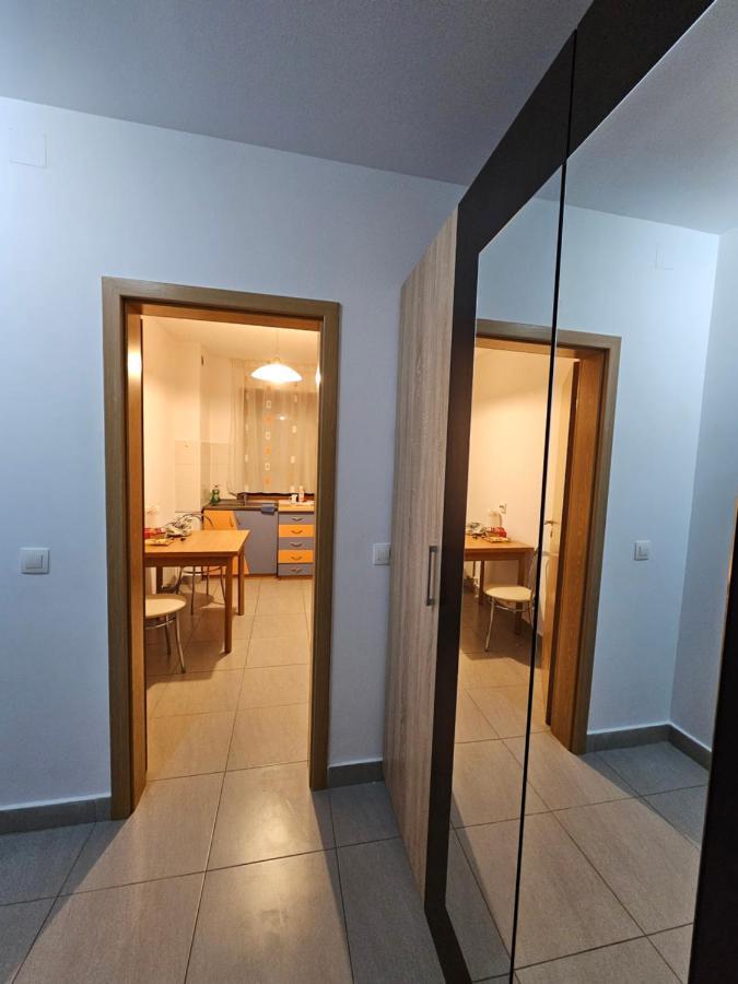 Elena'S Studio Brasov Coresi Exterior photo